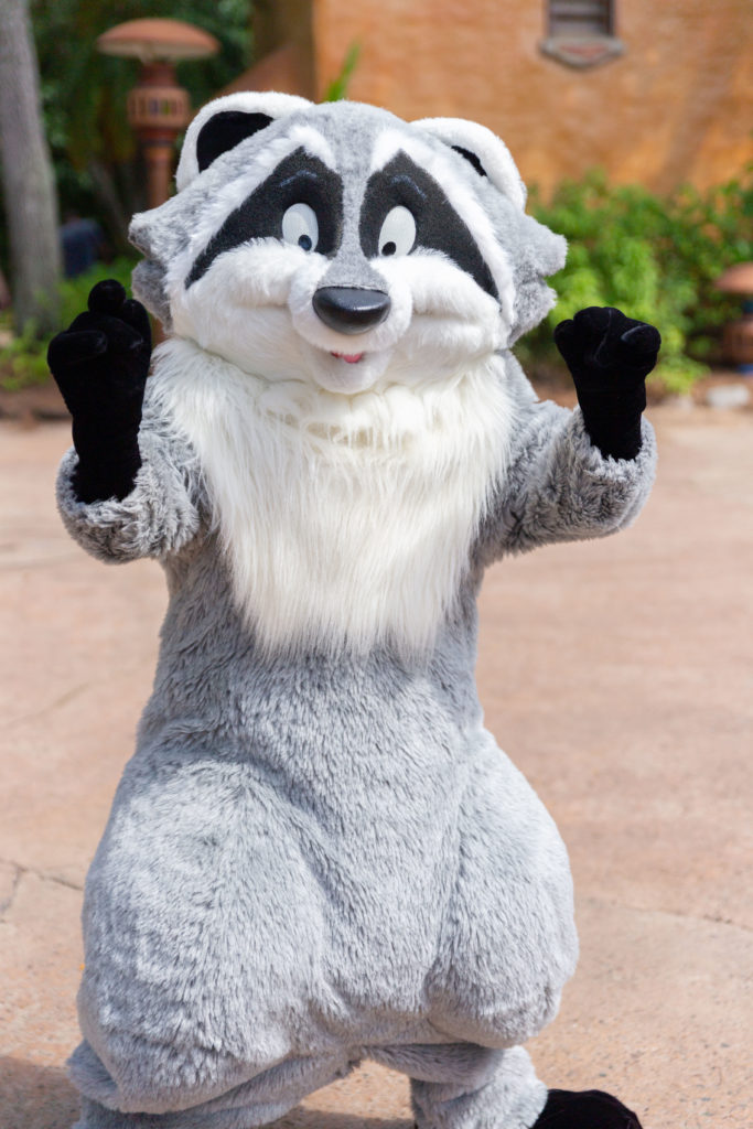 IMG 7804 copy