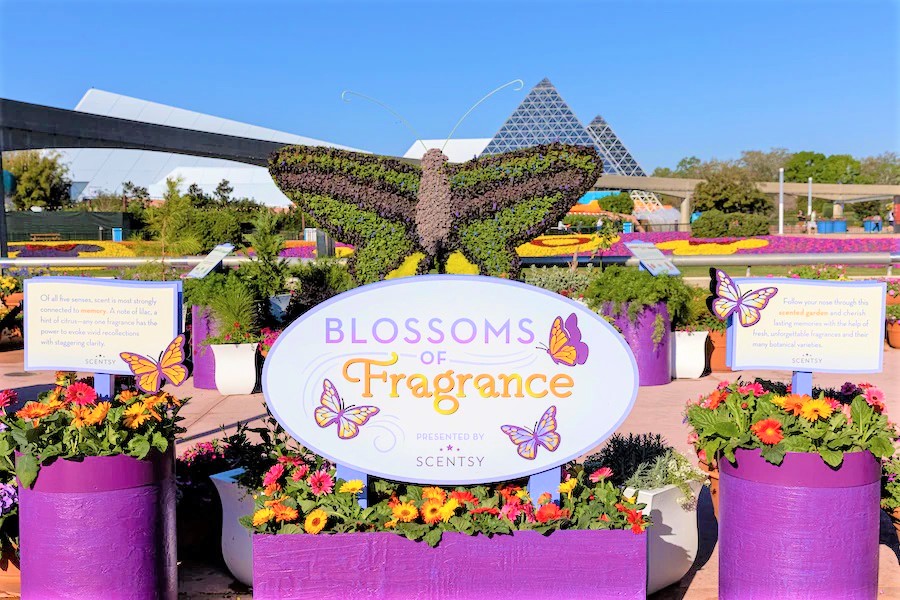 Flower Garden Festival Epcot 2022 03 2