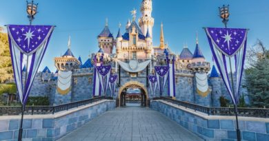 disney 100 castle