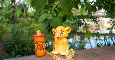 Popcorn bucket roi Lion disneyland Paris