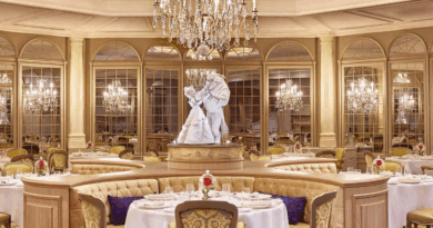 La table des lumieres