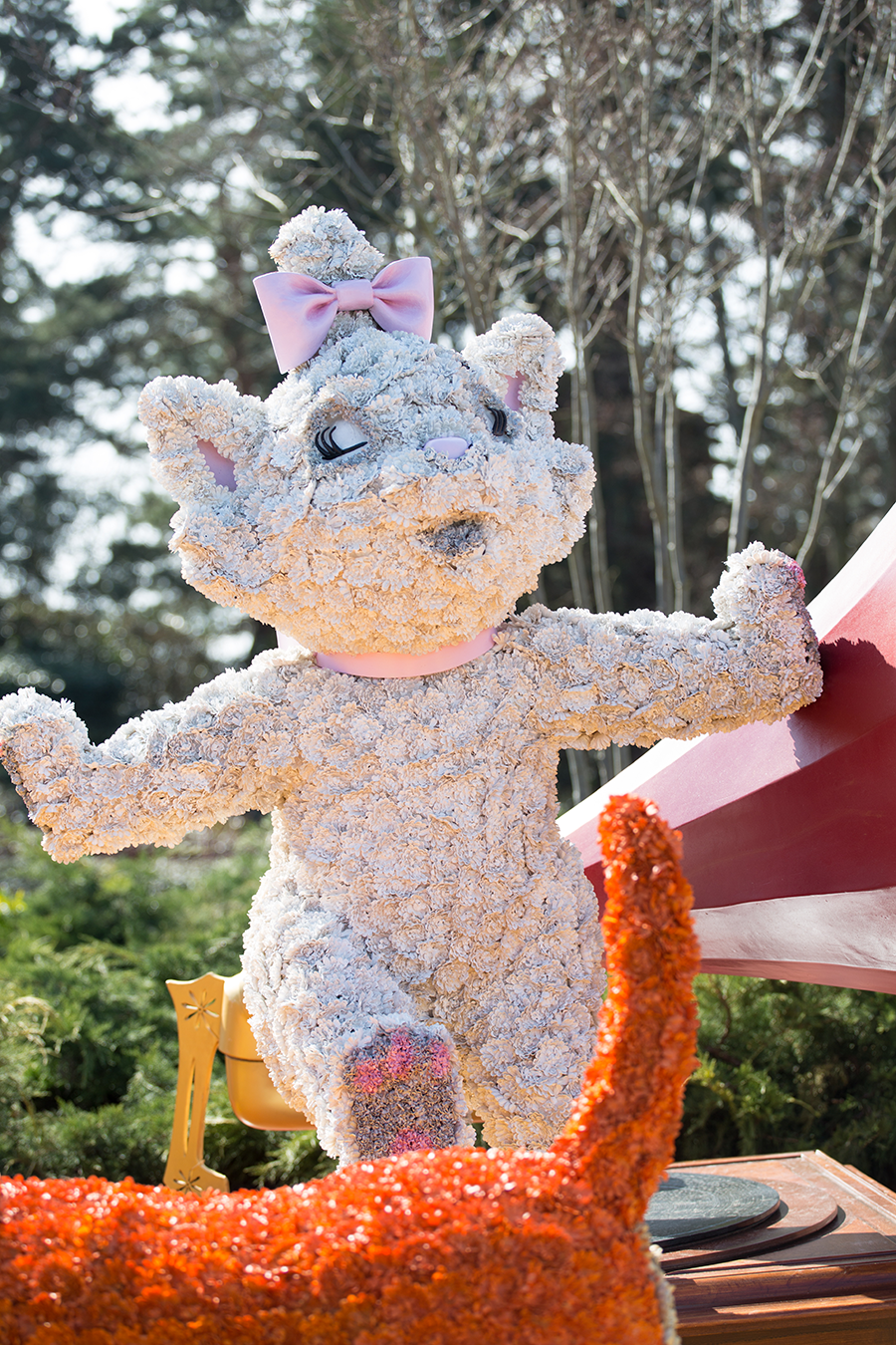 IMG 8637