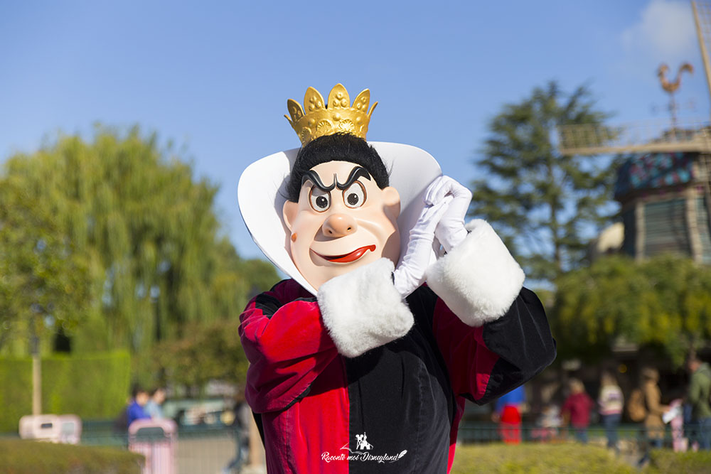 IMG 4430 copie