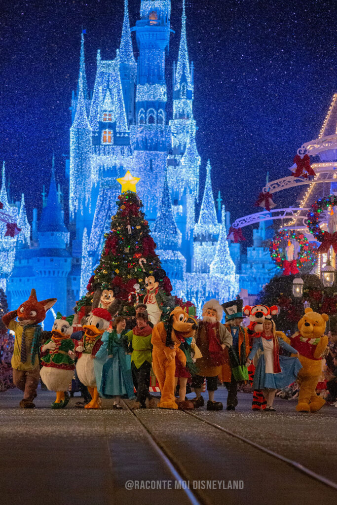 Magic Kingdom Parade de Noel