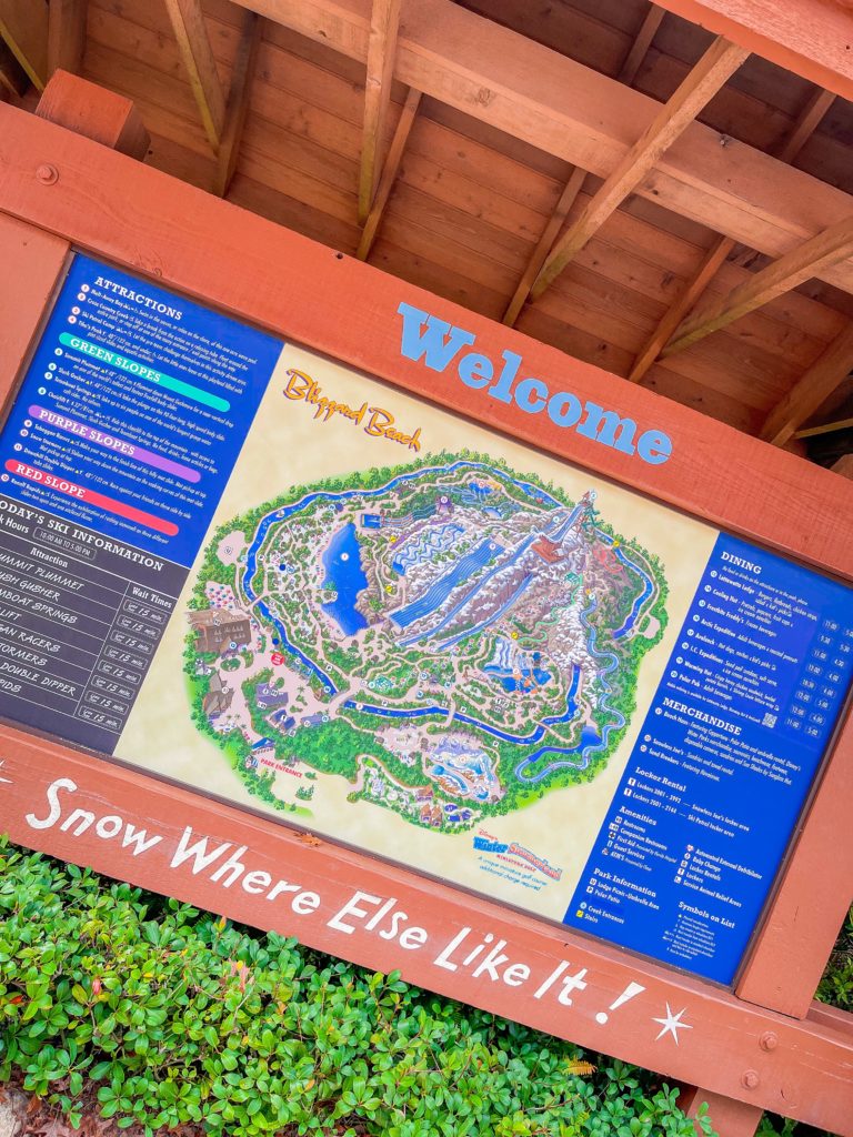 Pass Saisonnière Blizzard Beach