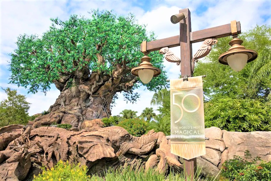 Animal Kingdom Earth Month 02 2
