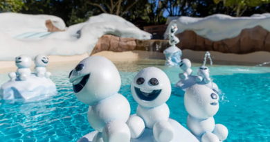 Walt Disney World Blizzard Beach La reine des neiges 01