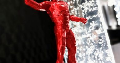 Orlinski Disneyland Paris ironman