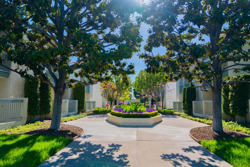 Hotel HOJO Howard Johnson Anaheim 13