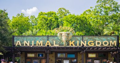Animal Kingdom Walt Disney World : attractions, animaux et conseils
