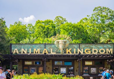 Animal Kingdom Walt Disney World : attractions, animaux et conseils