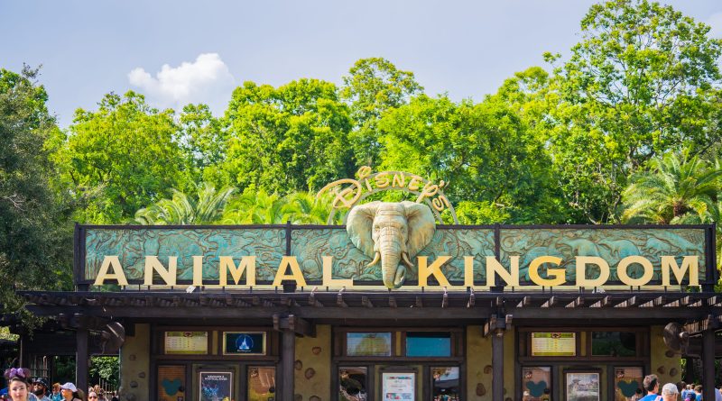 Walt Disney World Disney Animal Kingdom 07
