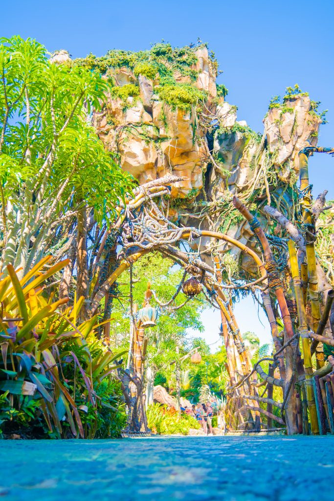 Walt Disney World Disney Animal Kingdom Pandora Avatar 02 min