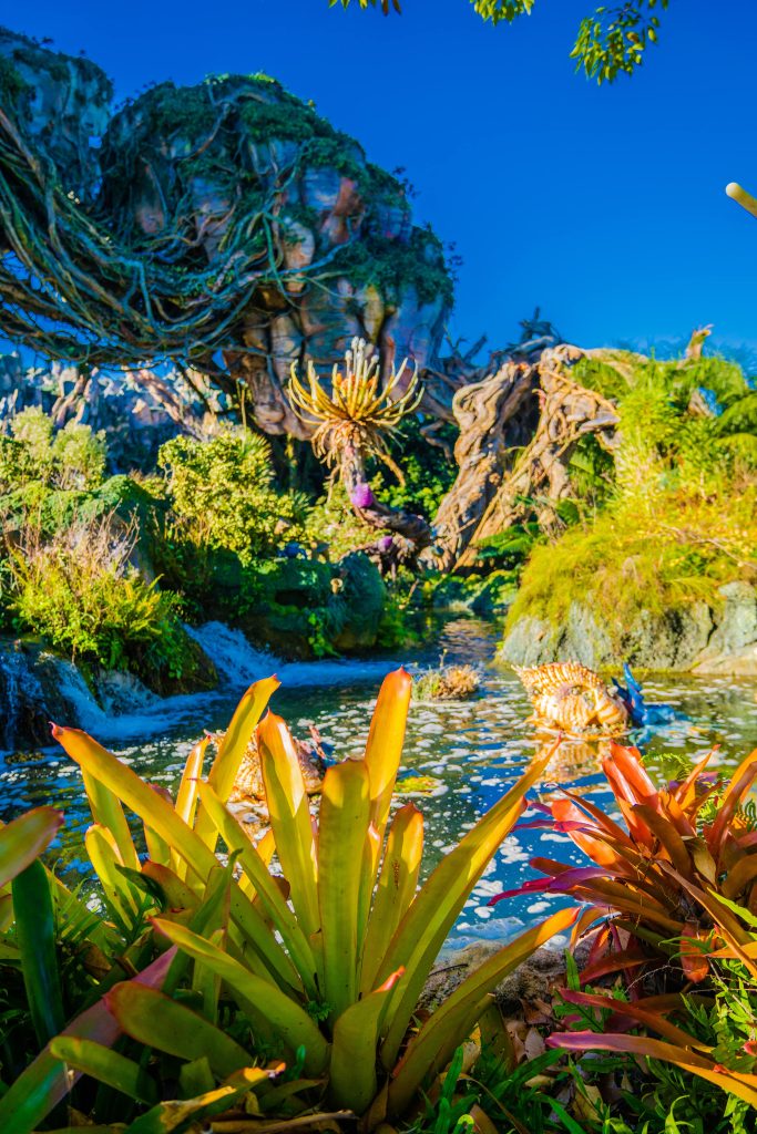 Walt Disney World Disney Animal Kingdom Pandora Avatar 03 min