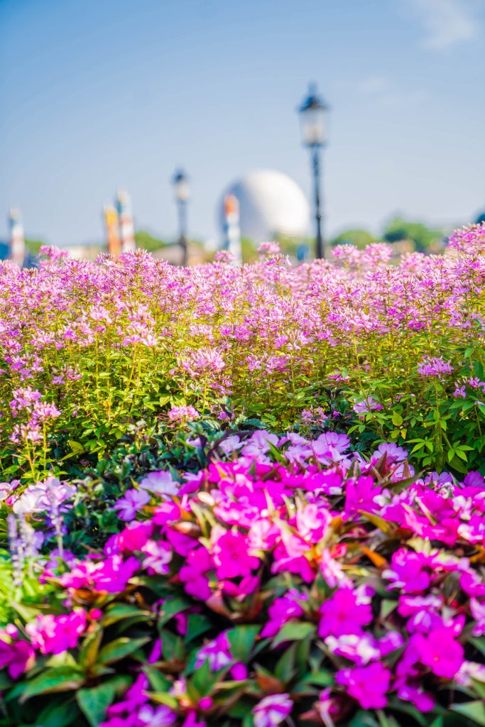 Walt Disney World EPCOT 04 min