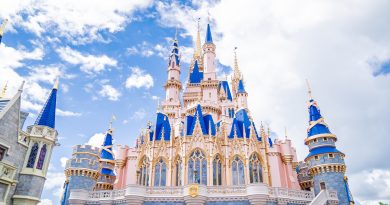 Walt Disney World Magic Kingdom Chateau 02 min