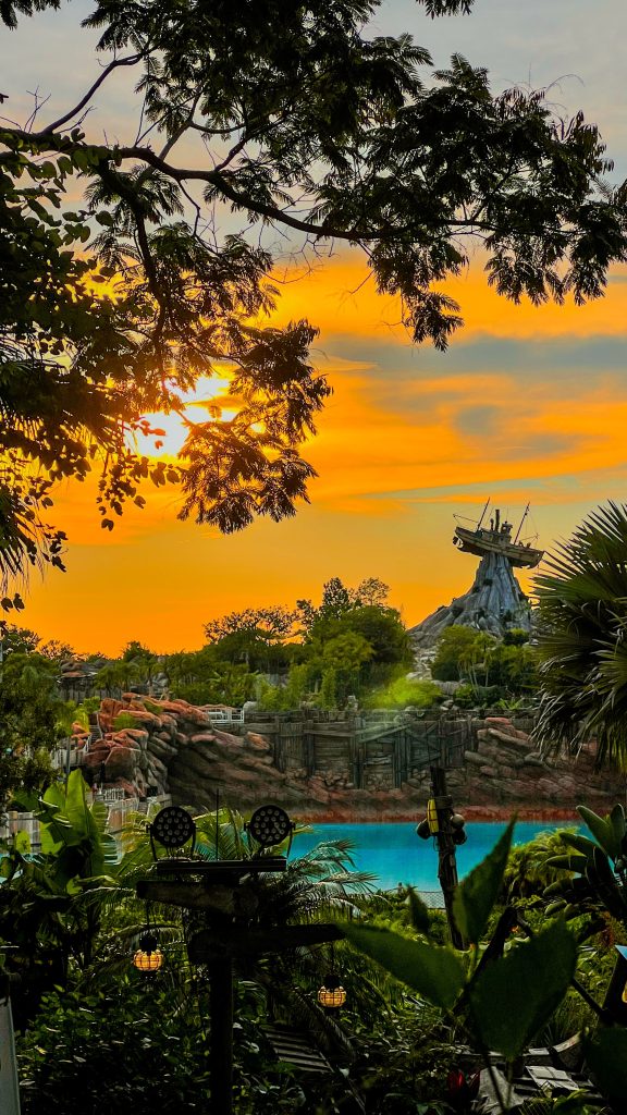 H2O Glow Typhoon Lagoon Landscape