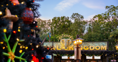 2025 Walt Disney World Holidays Disneys Animal Kingdom 1536x1024 1