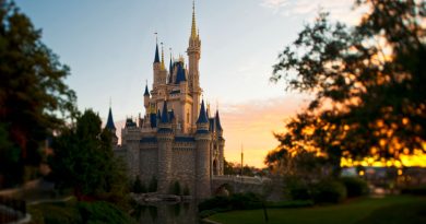 Walt Disney World 2027 : cette offre pourrait changer complètement votre budget vacances