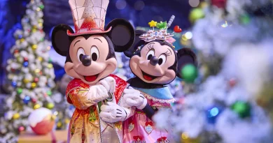 Disneyland Paris Noel 2025 02