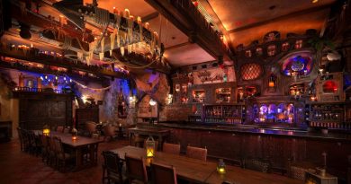 The Beak and Barrel Magic Kingdom Bar Pirates 01