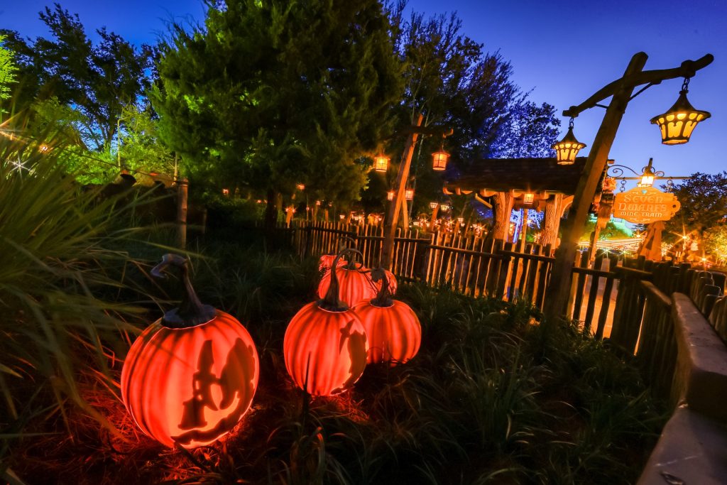 2025 WDW Fall 5