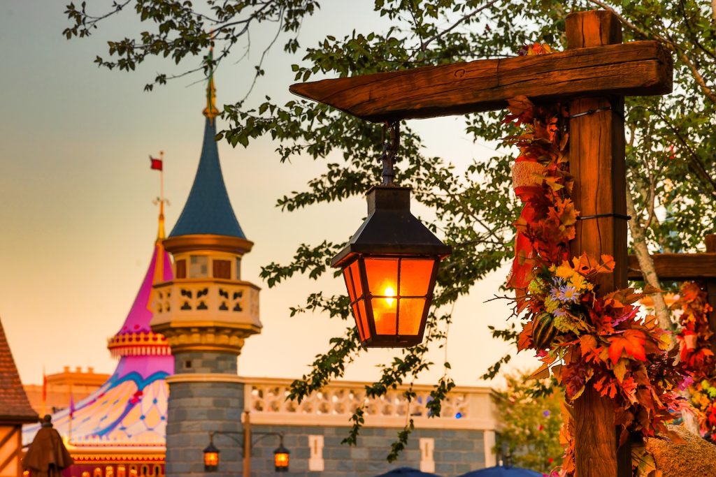 2025 WDW Fall 6