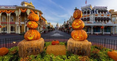 2025 WDW Fall Header 1536x1025 1