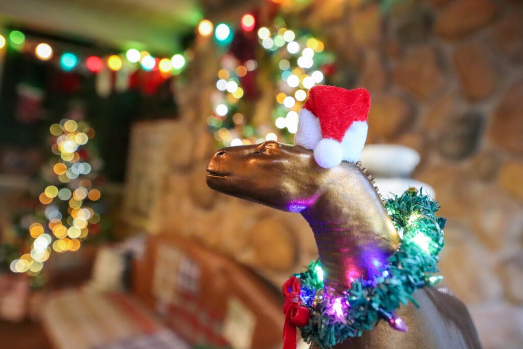 2025 Santa at Disney World DAK 4