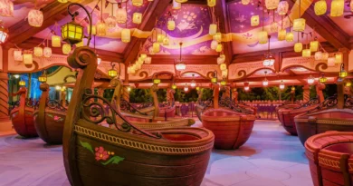 Attraction Raiponce Disneyland Paris