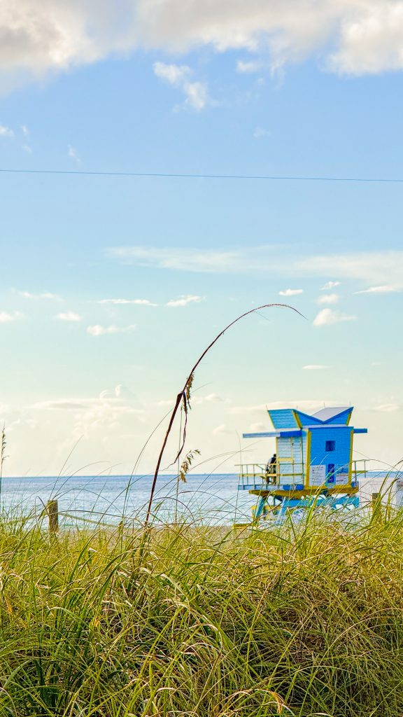 Tour Sauveteur Miami beach