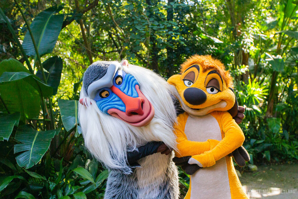 Timon & rafiki