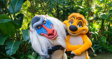 Personnages Animal Kingdom : Guide des Rencontres à Disney World