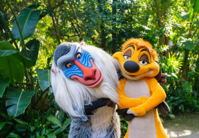 Personnages Animal Kingdom : Guide des Rencontres à Disney World