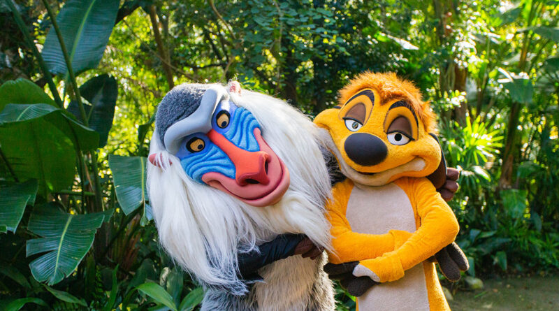 Personnages Animal Kingdom : Guide des Rencontres à Disney World