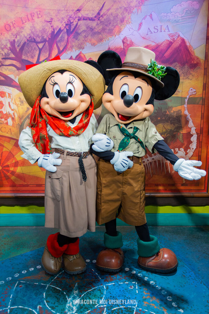 Mickey & Minnie Tenue safari Animal Kingdom