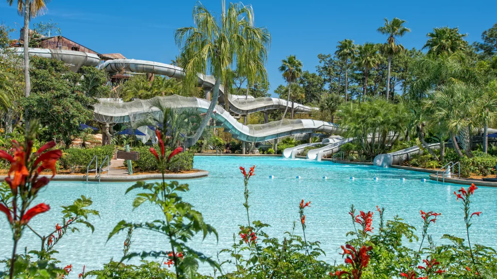 Typhoon Lagoon Walt Disney World piscine