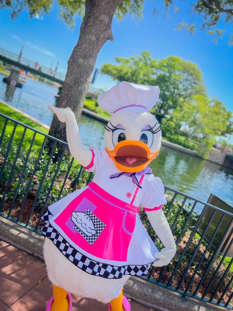 Walt Disney World Epcot Daisy