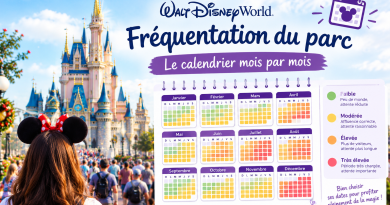 frequentation disney world