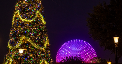 Walt Disney World Epcot Noël