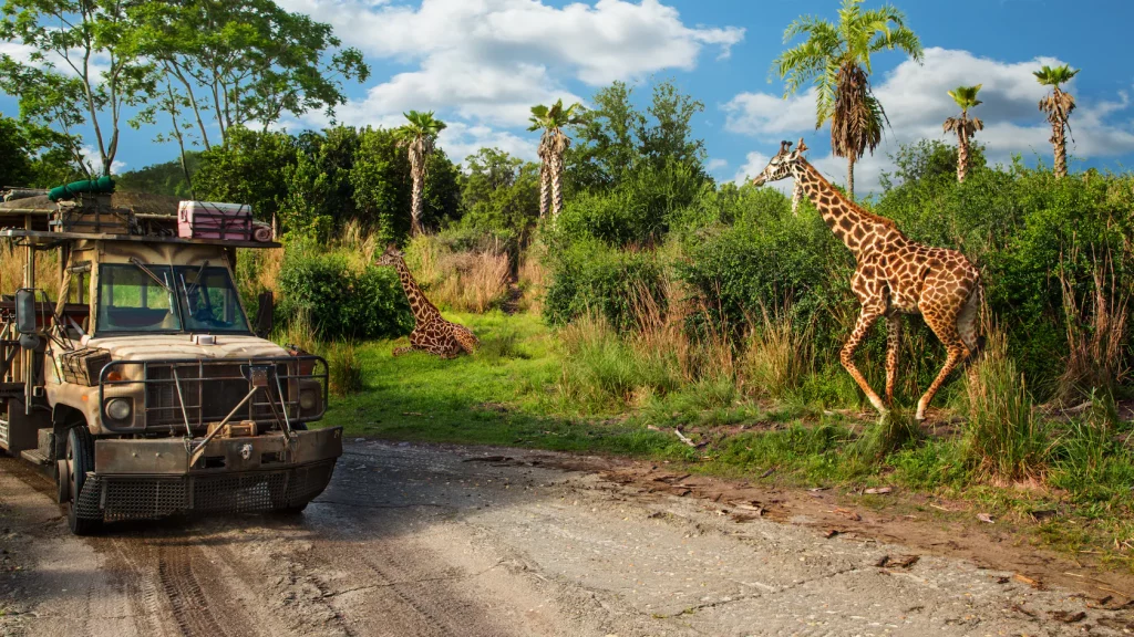 Walt Disney World Animal Kingdom Kilimandjaro Safari
