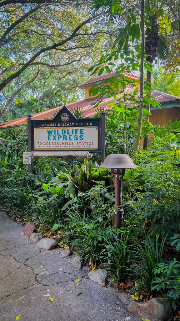 Walt Disney World Animal Kingdom Wildlife Express
